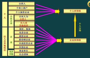 我想成立一家有限公司，流程是怎样的，会很麻烦吗？