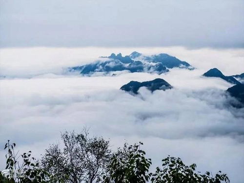 清明小长假,到南宫山参加自驾游狂欢节 老司机 们,你们准备好了么