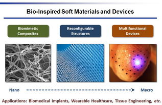 清华大学生物医用及仿生材料、新能源材料与器件硕士毕业后哪个工作会更好些，大体来说当当然会有个例。