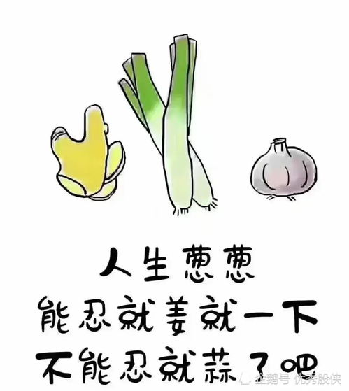 A股会不会天天小涨？