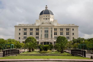 在上海的大学有哪些大学