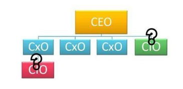 CEO CFO COO 是什么意思啊