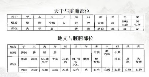 要高度重视风水中 象 的意义