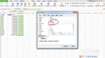 WPS的表格中如何让数据以万为单位显示