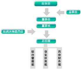 风险投资公司的特点有哪些