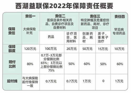 西湖益联保有纸质保单吗 (大病补充医疗保险浙江)