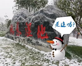 昆明12月份会迎来一场大雪 