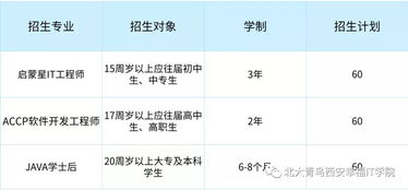 python北京初中生招收,启航未来：北京初中生招收，培养科技新星