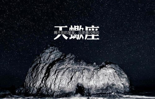 肯吃苦,不畏惧失败,依旧热爱生活的星座,自己决定的事永不放弃