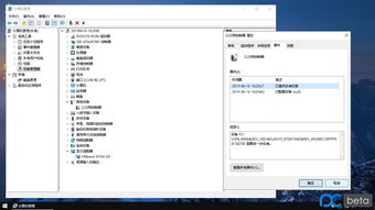 win10虚拟机怎么安装usb驱动