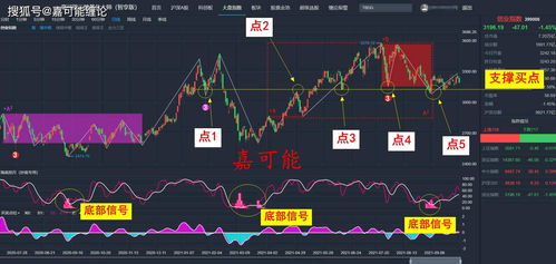 创业板的股票是属于哪个市的股票