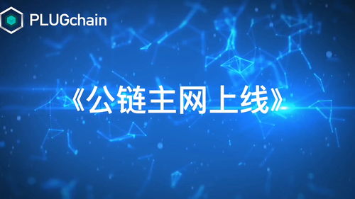 公链上线后要做什么、PLUGchain公链上线