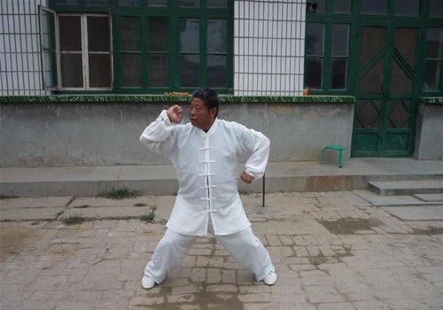 劈拳和八极拳:是中国武术灿烂的瑰宝!