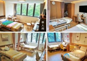 广州五星级高端养老院 广州国投健康嘉栖长者公寓