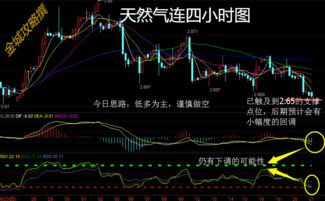 金城攻略 7.21有心之人运气不会差,热门商品投资建议分析 