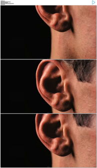 男人耳朵痣的位置与命运图