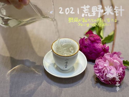 五大堪称鸡肋的茶具,如果你家也有,请早点丢出茶室