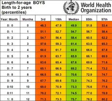 三个月的 男婴儿 标准体重与高度是多少