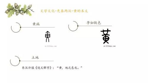 课堂延伸 黄 字字义的发展与演变 