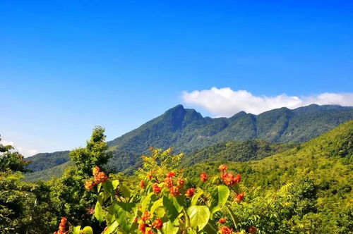 海南五指山白沙陨石坑