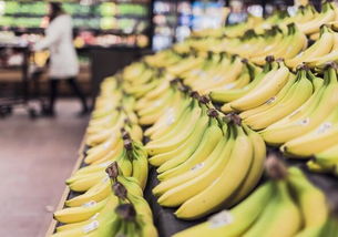 讲解香蕉的种植技术和管理方法,香