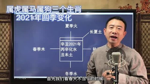 刘恒易经 属虎属马属狗三个生肖,2021年四季变化 