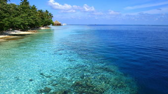 马尔代夫七星岛酒店游记推荐带你领略天堂般的海岛风光（马尔代夫七星岛屿）
