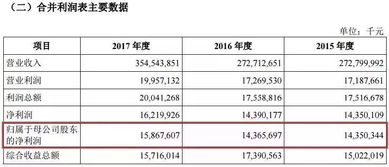 一家价值100亿的大公司，年净利润为5-8亿，问如果上市后总市值会变成多少？