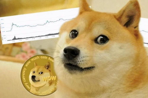 dogecoin币圈交易所排名,Dogecoi币圈交易所排名和选择点 dogecoin币圈交易所排名,Dogecoi币圈交易所排名和选择点 词条