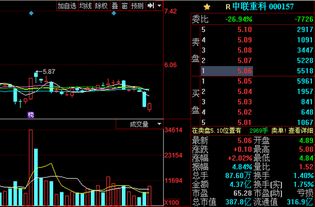 我前天买入了海南橡胶和中联重科。不知道明天会不会有很大的风险。如何操作呢？谢谢