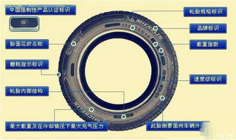 怎么看轮胎尺寸和型号-第1张图片