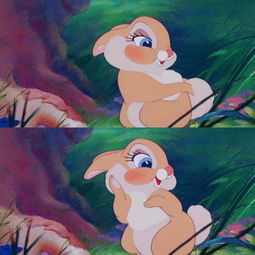 兔子的动画片 欧美 
