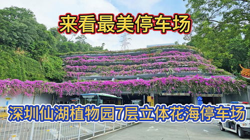 来看深圳最美停车场,仙湖植物园7层立体停车场,工作日不用预约