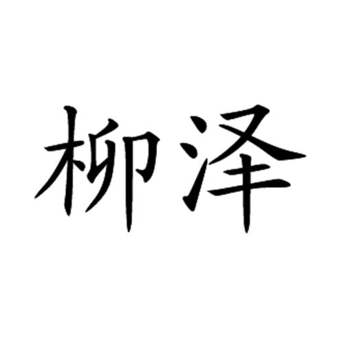 柳泽商标注册查询 商标进度查询 商标注册成功率查询 路标网 