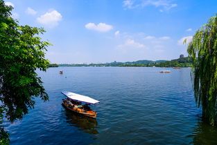 夏之西湖 西湖的水我的泪