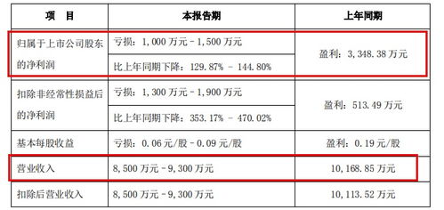 股票业绩预亏暨退市风险是什么意思？