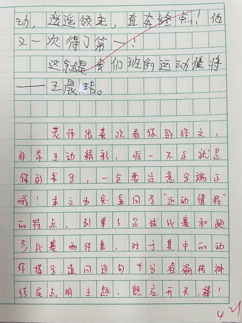 我的新学校作文(我的新学校初中作文600至800字)