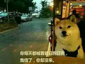  dogeʷͼ,ҵʷͼ: 