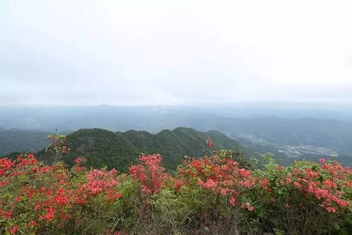 在楠溪江的诗里旅行 收好这些诗句,有你美滋滋的时候 