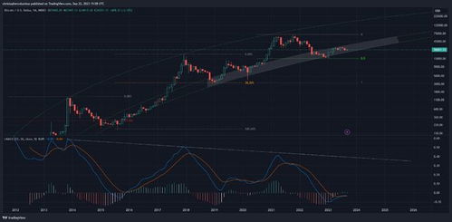 比特币未来怎么样 比特币未来怎么样 快讯