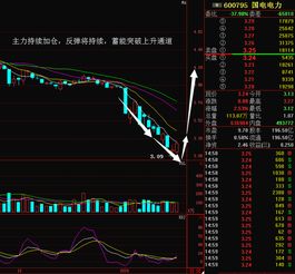 国电电力600795 现在价格可否买入？现价2.75，是不是很低的价位了？