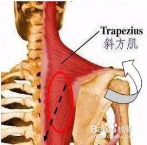 怎样把肩膀练宽