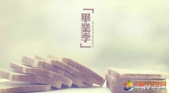 回忆毕业照片发朋友圈句子