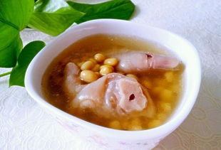 猪脚汤搭配什么食材煲汤,猪脚汤是一道营