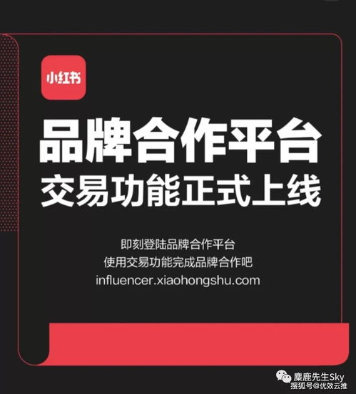 优效云推 怎么合规的在小红书接推广 小红书博主变现必看