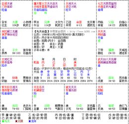 紫微斗数命盘 求大神帮我看看我的命盘,仔细解释一下,谢谢 