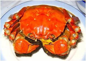 吃螃蟹过敏 吃蟹过敏怎么办？ 