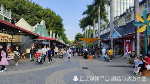 荷兰花卉小镇,深圳南山的特色花鸟市场,值得来逛一逛