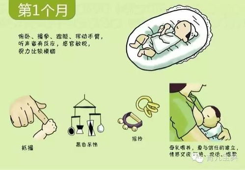 送 0 3岁婴幼儿发育摘要 图解 官方发布