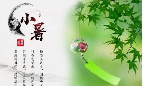 小暑祝福语2021最新问候 小暑节气问候短信微信简短一点